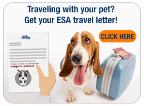 Online Emotional Support Animal Letters | Prescriptions